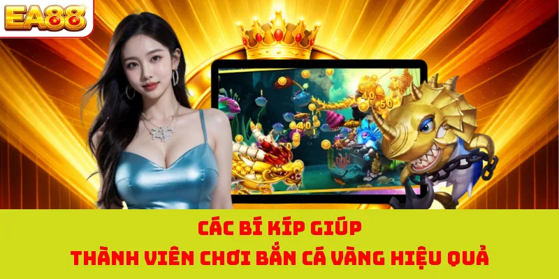 Các bí kíp giúp thành viên chơi bắn cá vàng hiệu quả