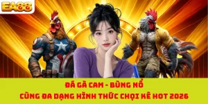 Đá Gà Cam - Bùng Nổ Cùng Đa Dạng Hình Thức Chọi Kê Hot 2026