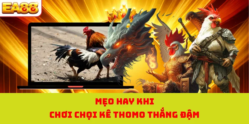 Mẹo hay khi chơi chọi kê thomo thắng đậm