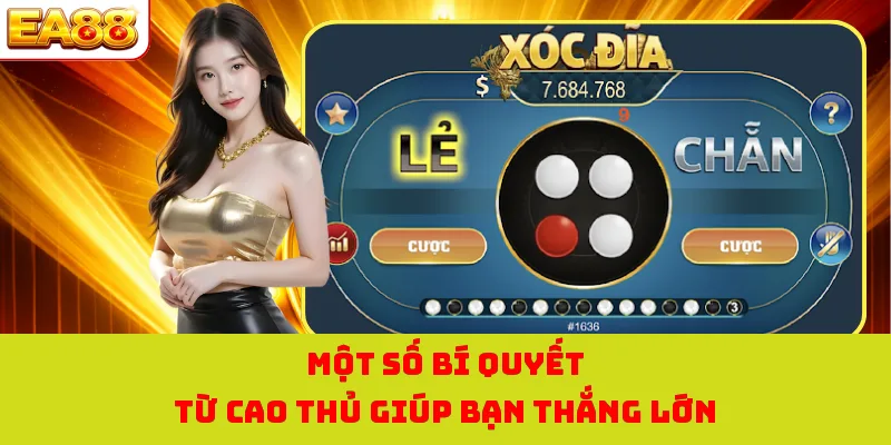 Xóc Đĩa Trực Tuyến Sân Chơi Cá Cược Thú Vị Và Đẳng Cấp Nhất 4 Một số bí quyết từ cao thủ giúp bạn thắng lớn