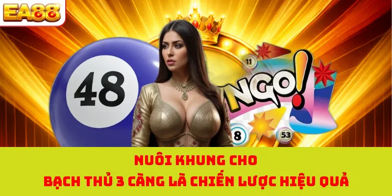 Nuôi khung cho bạch thủ 3 càng là chiến lược hiệu quả 